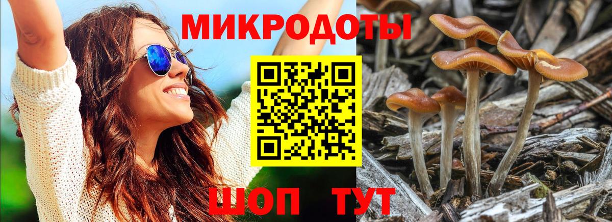 Галлюциногенные грибы MAGIC MUSHROOMS  Вход с VPN  Шадринск 